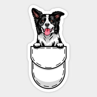 Funny Border Collie Pocket Dog Sticker